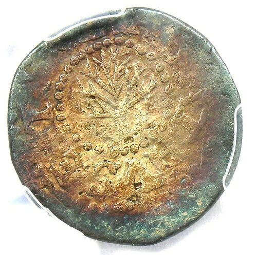 1652年 マサチューセッツ州オークツリー シルバー スリーペンス 3P - PCGS VF 認定詳細