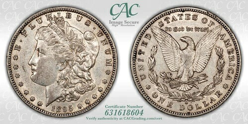 1895-O AU53 モルガン銀貨 CACG|WORLD RESOURCE【QUEEN店】