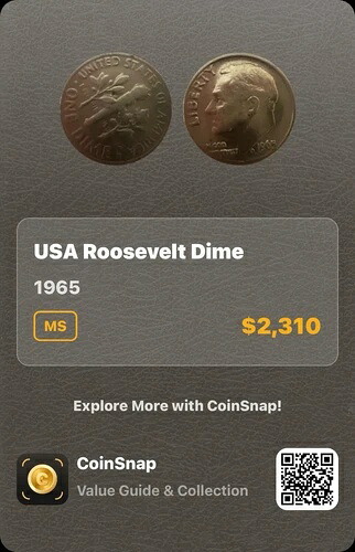 アメリカ ルーズベルト・ダイム 1965-｜WORLD RESOURCE【QUEEN店】 416,790円