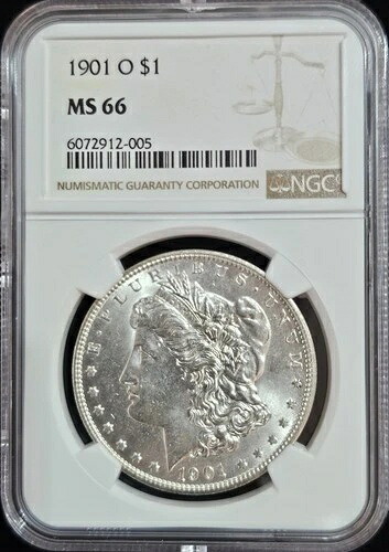 1901-O モルガン・ダラー MS-66 NGC ビデオ|WORLD RESOURCE【QUEEN店】