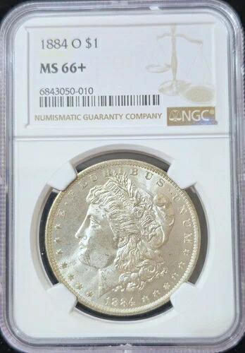 1884年-O モーガンドル MS-66+ NGC ビデオ-|WORLD RESOURCE【QUEEN店】
