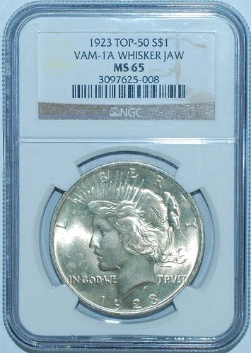 1923年 NGC MS65 VAM-1A トップ50 ウィスカージョーピース シルバーダラー