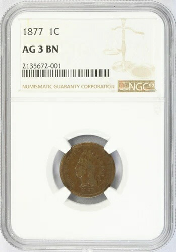 1877 1セント インディアンヘッド セント AG 3 BN