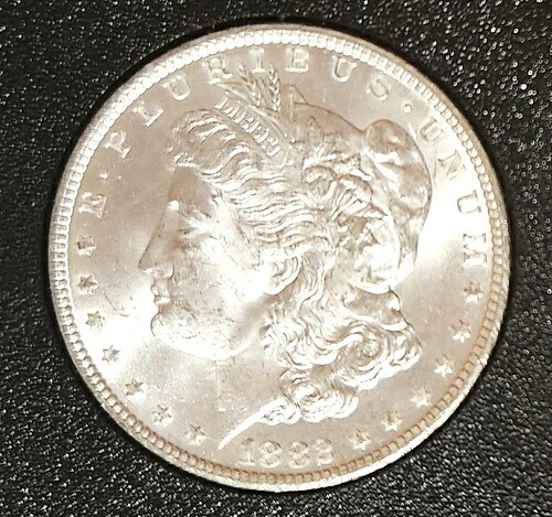 1882年 CC カーソンシティ GSA Hoard モーガンシルバードル 未流通 密封 KM# 110-