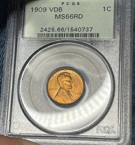 1909 VDB リンカーン ウィート セント PCGS MS66RD - PCGS オールド グリーン ホルダー