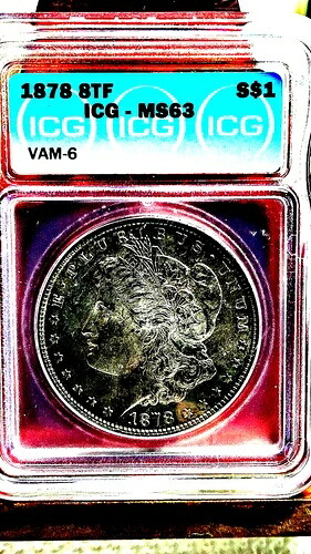 1878 8 TF ICG MS 63 Vam 6 ピアスアイリッド モルガン銀貨、グレートストライク｜WORLD RESOURCE【QUEEN店】