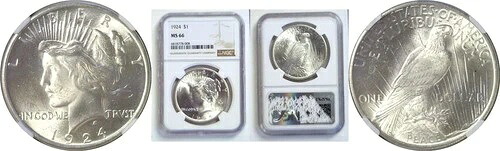 1924年 1ドル平和ドル NGC MS-66｜WORLD RESOURCE【QUEEN店】