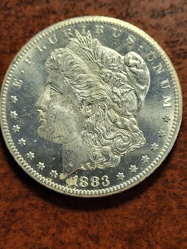 1883年CCモルガン銀貨、プルーフ、カーソンシティinv10 s278tj