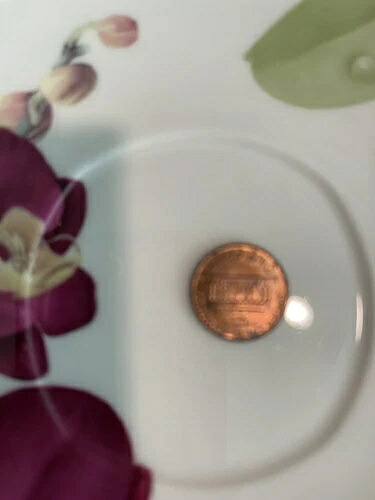 1983年米国リンカーン記念1セント硬貨（ミントマークなし）