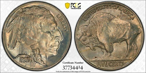1923年 PCGS MS66 バッファローニッケル
