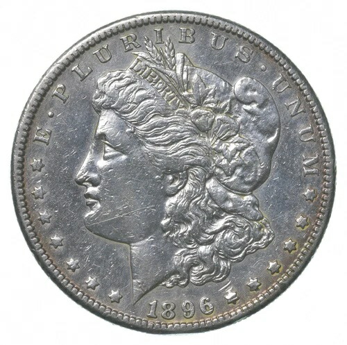 1896-S モルガン銀貨 *8518