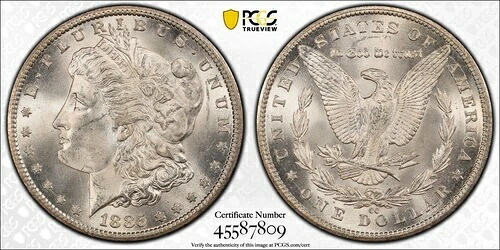 1885年 CC モルガン銀貨 $1 PCGS MS 63