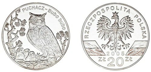 20 ズウォティ銀貨 ポーランド - 20 ズウォティ銀貨 ポーランド。2005 年。フクロウ。証明。