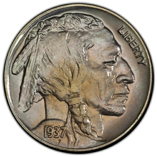 1937年 5C バッファローニッケル PCGS PR67