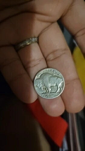 En Venta La Moneda De Bufalo