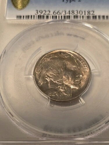 1913年 D バッファローニッケル 5セント PCGS MS 66 タイプ2。1年目