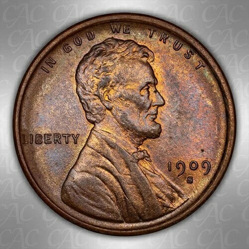 1909-S VDB 1c CACG MS 64 RB｜WORLD RESOURCE【QUEEN店】