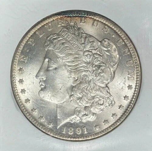 1891-CC モーガン シルバードル ~ NGC MS 65 ~ 美しいレジストリセットコイン ~ VAM 3|WORLD RESOURCE【QUEEN店】