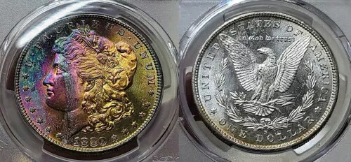1880 S モーガン シルバー ダラー $1 PCGS MS 66 モンスター トーニング!!｜WORLD RESOURCE【QUEEN店】