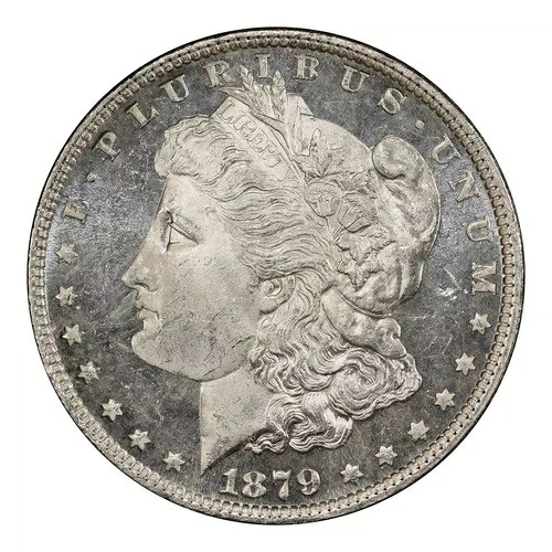 1879年 モーガンドル PCGS MS64 DMPL CAC サイト ホワイト-｜WORLD RESOURCE【QUEEN店】