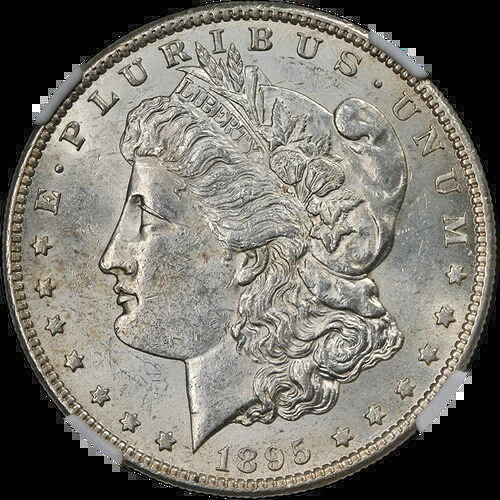1895-S モーガン シルバー ダラー NGC Unc 詳細 重要な日付 見た目の魅力 美しいストラクチャー...｜WORLD RESOURCE【QUEEN店】