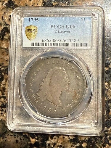 1795年 フローヘア $2 葉 BB-14、B-4、H-4 隠しスター MS62+ PCGS セキュア、CAC-|WORLD RESOURCE【QUEEN店】