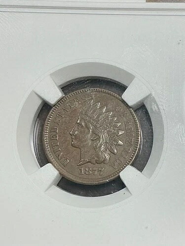 NGC AU55 1877 インディアンヘッドセント キーデイト 完璧な均一な色 素晴らしい視覚的魅力 704,880円