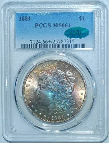 1881年 PCGS MS66+ CAC モルガン銀貨 素晴らしい色|WORLD RESOURCE【QUEEN店】