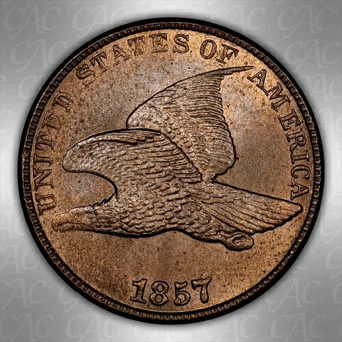 1857年 フライングイーグル 1セント CACG MS 65