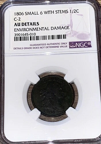 1806年製 スモール6インチ ステム付き ハーフセント硬貨 NGC C-2 AU 詳細 環境ダメージあり