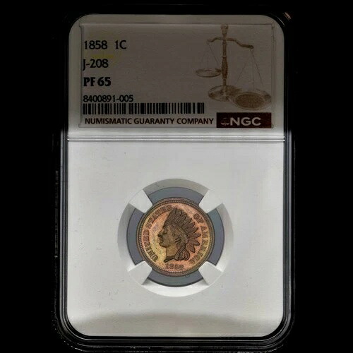 1858年インディアンヘッドセントパターン? NGC PF-65? J-208 プルーフコイン銅ニッケルペニー