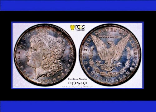 1880年 CC モルガンダラー Vam-5 8/7 Hi-7 トップポップ 3/0 PCGS Ms64pl PQ +の未完成 -|WORLD RESOURCE【QUEEN店】