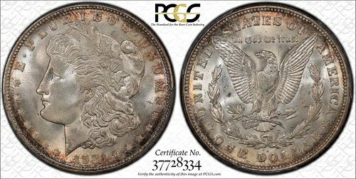 1921年 D PCGS MS66+ モーガンシルバードル-