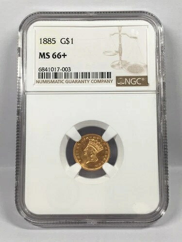 1885年 タイプ3 ゴールド インディアン プリンセス ゴールド ドル NGC MS66+ 7XXEB25