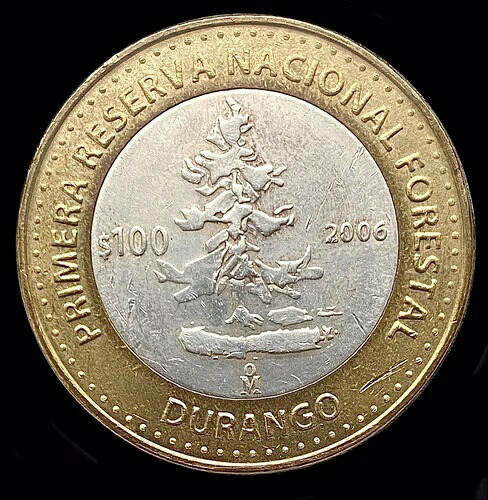 メキシコ 2006年 銀貨 100ドル ペソ デュランゴ 二金属貨幣 希少 HTF