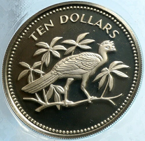 1974年 ベリーズ 鳥類 オオハナガラス ヴィンテージ プルーフ シルバー 10ドル コイン i103969