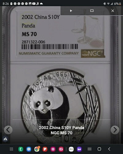 2002年 中国 10元 1オンス シルバー パンダ NGC MS70