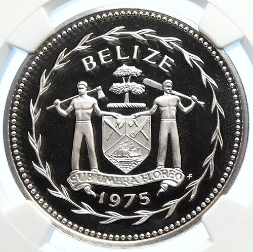 1975年 ベリーズ 本物 大型 ヴィンテージ プルーフ シルバー 5ドルコイン オオハシ鳥 NGC i106365