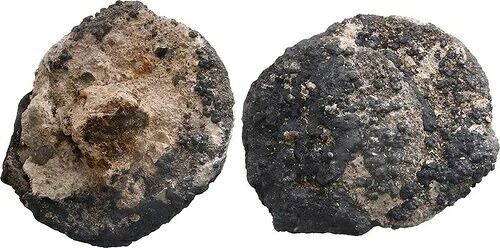 メキシコ産コブ8レアルと4レアルのエンクラスト・クランプ・コンセプシオン難破船（COA付き）