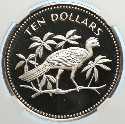 1974年 ベリーズ 鳥類 オオハナガラス オールドプルーフ シルバー 10ドルコイン NGC i106409