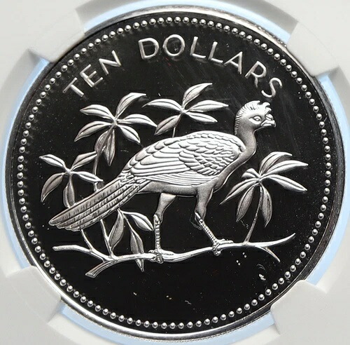 1976年 ベリーズ 鳥類 オウギョウ属 鳥類 ヴィンテージ オールドプルーフ シルバー 10ドルコイン NGC i106415
