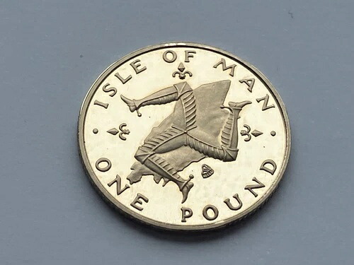 Simply Coins ~ 1982年 マン島プルーフワン 0.5kg コインクリブ 希少ブランド 55,440円