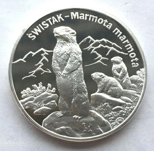 ポーランド 2006年 マーモット 20ズウォティッチ銀貨 プルーフ