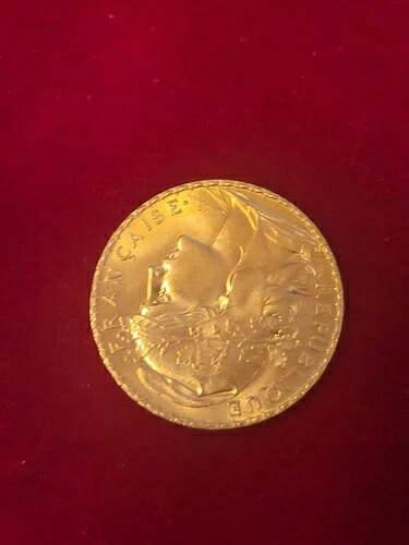 フランス金貨 20フラン (0.1867オンス) - 雄鶏 - ランダム日付 187,000円
