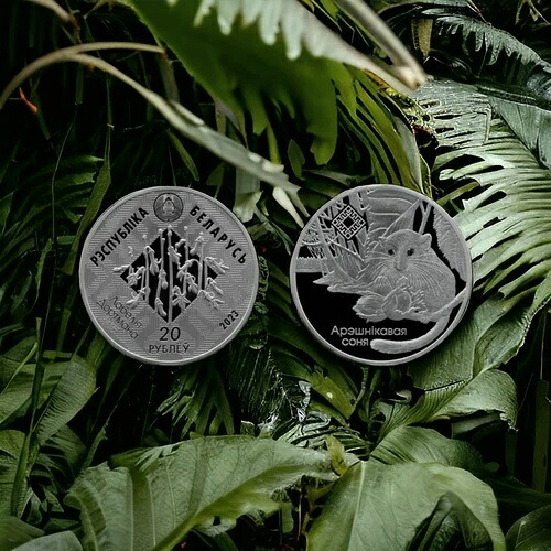 ベラルーシ 20ルーブル 2023年 スヴィチャジヤンスキー自然保護区。ヤマネ、銀貨