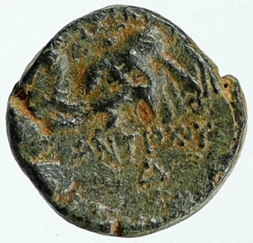 セレウコス4世 フィロパテル・セレウキド 古代ギリシャコイン ラオディケ4世 象 i115522