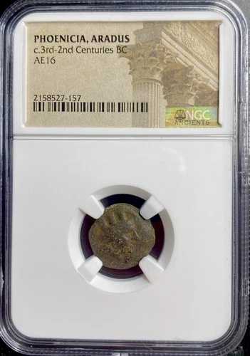 古代フェニキア貨幣 紀元前174-141年 NGC アラドゥス市 ティケー ガレー船 フェニキア｜WORLD RESOURCE【QUEEN店】 51,480円
