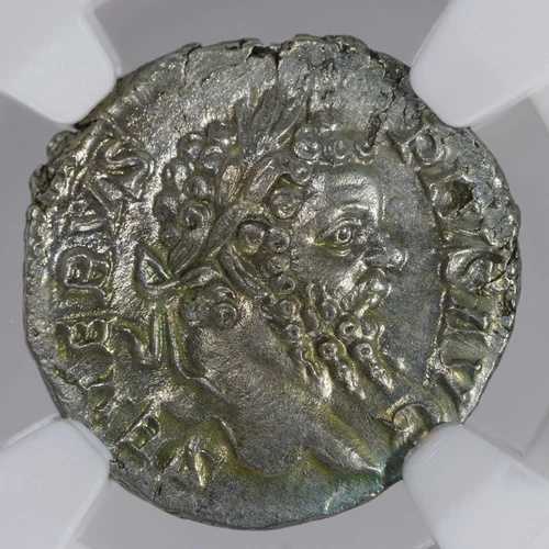 セプティミウス セウェルス AR デナリウス 古代ローマ帝国 シルバー コイン 193-211 AD NGC AU