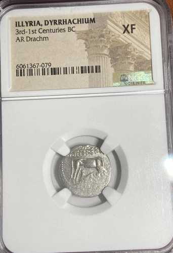 イリリアドラクム(紀元前3?1世紀)ARドラクム。 NGC XF.-