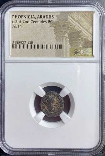 古代フェニキア コイン 174BC-141BC NGC アラドゥス市 ゼウス ガレー船 本物 レア